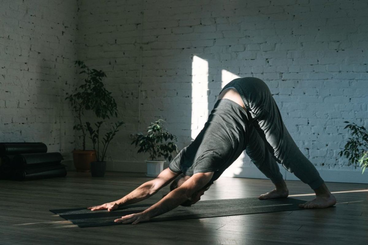 Mann herabschauender Hund